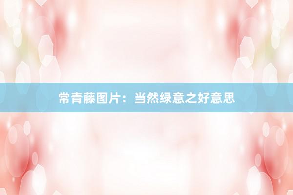 常青藤图片：当然绿意之好意思